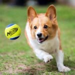 Nerf Dog VP6808 Squeak Tennis Balls Dog Toy (3 Pack) Medium - Image 5