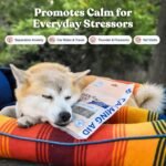 Healthybud Duck Calming Soft Chews for Dogs – Grain-Free Dog Treats for Anxiety, Separation & Travel Support – Soft & Chewy High-Value Rewards – Made in Canada – 130 g (4.6 oz) - Image 8