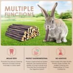 Bissap 460g/1lb Apple Sticks for Guinea Pig, Rabbits Natural Molar Chew Toys for Bunny Chinchilla Guinea Pig Hamster Gerbil and Small Animals Apple Wood Stick Toys Treats (460g/1lb) - Image 4