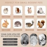 Bissap 460g/1lb Apple Sticks for Guinea Pig, Rabbits Natural Molar Chew Toys for Bunny Chinchilla Guinea Pig Hamster Gerbil and Small Animals Apple Wood Stick Toys Treats (460g/1lb) - Image 8