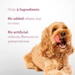 DreamBone Protein Rings with Real Turkey & Cranberries, 119 g, Rawhide-Free Protein Ring Chews, Artificial Free, for All Dogs - Image 7