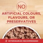 Purina ONE Senior Wet Dog Food, Healthy Aging 7+ Turkey & Barley Entree - 368 g Can (12 Pack) - Image 9