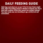 Purina ONE Senior Wet Dog Food, Healthy Aging 7+ Turkey & Barley Entree - 368 g Can (12 Pack) - Image 12