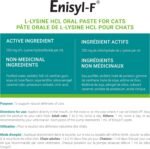 Vetoquinol Enisyl-F – Veterinary Health Product – L-Lysine HCI Oral Paste for Cats – 100 ml - Image 3