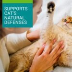 Vetoquinol Enisyl-F – Veterinary Health Product – L-Lysine HCI Oral Paste for Cats – 100 ml - Image 4