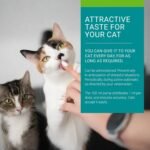 Vetoquinol Enisyl-F – Veterinary Health Product – L-Lysine HCI Oral Paste for Cats – 100 ml - Image 5