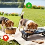 Raised Dog Bowl & Raised Cat Food Bowl，Elevated Raised Cat Bowl Stand with 2 Stainless Steel Cat Bowls, Anti-Vomit Pet Bowl Food Dish for Small Medium Dogs, Indoor Cats and Puppies (Black) - Image 9