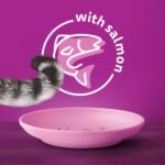 WHISKAS Seafood Selections Adult Dry Cat Food With Real Salmon, 9.1kg Bag - Image 6