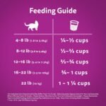 WHISKAS Seafood Selections Adult Dry Cat Food With Real Salmon, 9.1kg Bag - Image 7