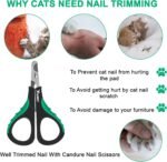 Candure Cat Nail Clippers Stainless Steel Cat Claw Trimmers for Rabbits,Guinea Pigs, Birds, Puppies, Kittens and Small Animals- Pet Nail Clippers for Professional and Home Use (Black) - Image 3