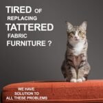 Candure Cat Nail Clippers Stainless Steel Cat Claw Trimmers for Rabbits,Guinea Pigs, Birds, Puppies, Kittens and Small Animals- Pet Nail Clippers for Professional and Home Use (Black) - Image 8