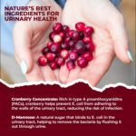 Pure Lab Vitamins UTI PURE - Cranberry + D-Mannose Helps Fight Urinary Tract Infections - Image 8