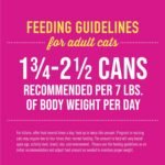 Tiki Cat Chicken Crave Pate Variety Pack Canned Cat Food, 2.8oz Can (case of 24) - Image 7