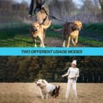 PetBonus Double Dog Leash, No Tangle Dual Leash, Reflective Walking Training Lead, 4 Comfortable Padded Handles for 2 Dogs with Collapsible Bowl and Waste Bags (Black, Large) - Image 4