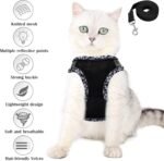 Small Dog Harness and Leash Set, No Pull Adjustable Step in Puppy Reflective Breathable Mesh Pet Harnesses Soft Padded Vest for Dogs Easy to Put on (Black-XXS) - Image 3