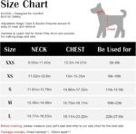 Small Dog Harness and Leash Set, No Pull Adjustable Step in Puppy Reflective Breathable Mesh Pet Harnesses Soft Padded Vest for Dogs Easy to Put on (Black-XXS) - Image 8