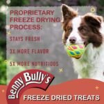 Benny Bullys Beef Liver Mini Bites - Freeze Dried Beef Liver Dog Treats, High Protein, Low Fat, Nutrient-Rich, All Natural Ingredients, Healthy Snack for Active Dogs - 148g - Image 8