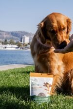 SierraSil® Leaps & Bounds – Chicken Flavoured Soft Chews for Dogs, Joint and Flexibility Support, Made in Canada, Great Tasting Treats, All Natural, Gluten-Free, Soy-Free - 300 g (100 Chews aprox) - Image 4