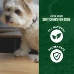 SierraSil® Leaps & Bounds – Chicken Flavoured Soft Chews for Dogs, Joint and Flexibility Support, Made in Canada, Great Tasting Treats, All Natural, Gluten-Free, Soy-Free - 300 g (100 Chews aprox) - Image 5