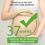 haakaa Colostrum Collector with Storage Case Set, Included 1 pc Reusable Cotton Wipe and Storage Box (0.1oz/4ml, 6 pcs) - Image 10