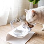 Cat Bowl with Raised Stand,Detachable and Transparent Double Cat Food Bowl,15° Tilted Cat Bowls Stress-Free Suit for Cats Small Dogs (White) - Image 8