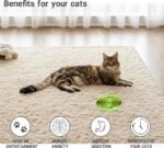 Slow Feeder Cat Bowl, Easy to Clean Silicone Bowl, Ideal for Dry and Wet Food (Orange and Cyan) - Image 5