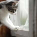 Windowsill Protector, Scratching Window Sill Protector Anti Scratch Furniture Protector Furniture Protectors from Cats Scratching (16ft) - Image 3