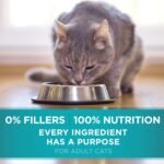 Purina ONE Natural Dry Cat Food | Urinary Tract Health + Sensitive Systems (1.8 kg Bags) - Image 8