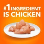 IAMS Proactive Health Healthy Enjoyment Adult Dry Cat Food – Chicken & Salmon – 1.36KG (2.9LB) Bag - Image 4