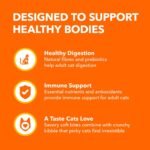 IAMS Proactive Health Healthy Enjoyment Adult Dry Cat Food – Chicken & Salmon – 1.36KG (2.9LB) Bag - Image 7