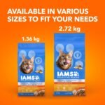 IAMS Proactive Health Healthy Enjoyment Adult Dry Cat Food – Chicken & Salmon – 1.36KG (2.9LB) Bag - Image 10