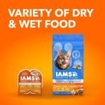 IAMS Proactive Health Healthy Enjoyment Adult Dry Cat Food – Chicken & Salmon – 1.36KG (2.9LB) Bag - Image 11