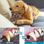 NEZIN Dog Toys for Aggressive Chewers, Indestructible Toys for Large Dogs, Dog Chew for Large Medium Small Breed, 3 Pack Super Chewer with Tough Nylon, Gift for Dogs - Image 5