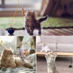 6 Pcs Cat Feather Toys with Bells, Feather Teaser Cat Toy, Replacement Feather Refills with Bells, Exerciser Playing Toy for Kitten or cat - Image 5