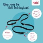 Halti Training Lead (6' 6"), Large, Black - Image 4