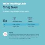 Halti Training Lead (6' 6"), Large, Black - Image 6