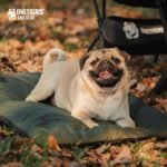 OneTigris Dog Bed Travel Large, Portable Dog Bed Camping for Washable Durable Oxford Portable Sleeping Mats for Car Crate Sofa Also for Indoor Outdoor Camping Travel Green (Large) - Image 6