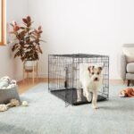 Amazon Basics Durable, Foldable, Collapsible, Portable Metal Wire Dog Crate with Tray, Single Door with Divider Panel, Easy to Assemble & Clean, Black, 91.44 x 58.42 x 63.5 cm - Image 7