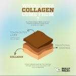 6 inch Beef Braided Collagen Sticks for Small to Medium Dogs - 8 Pack - Dog Dental Chews - Odour Free, Rawhide Free, Long Lasting Alternative to Bully Sticks, All Natural, Protein Rich - Image 3