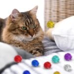 Molain 100pcs 2.5cm Large Cat Toy Balls, 1Inch Soft Cat Balls Kitten Pom poms Ball Cat Play Toy (100 Pcs) - Image 5