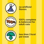 Temptations MixUps Treats for Cats Surfer's Delight Flavor, 16 oz. Tub - Image 4