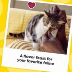 Temptations MixUps Treats for Cats Surfer's Delight Flavor, 16 oz. Tub - Image 11