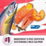 Beyond Superfood Blend Natural Dry Dog Food, Wild Caught Salmon, Egg & Pumpkin - 5 kg Bag - Image 5