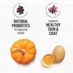 Beyond Superfood Blend Natural Dry Dog Food, Wild Caught Salmon, Egg & Pumpkin - 5 kg Bag - Image 6