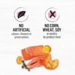 Beyond Superfood Blend Natural Dry Dog Food, Wild Caught Salmon, Egg & Pumpkin - 5 kg Bag - Image 8