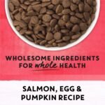 Beyond Superfood Blend Natural Dry Dog Food, Wild Caught Salmon, Egg & Pumpkin - 5 kg Bag - Image 10