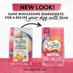 Beyond Superfood Blend Natural Dry Dog Food, Wild Caught Salmon, Egg & Pumpkin - 5 kg Bag - Image 11