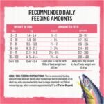 Beyond Superfood Blend Natural Dry Dog Food, Wild Caught Salmon, Egg & Pumpkin - 5 kg Bag - Image 13