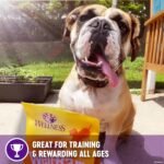 Wellness WellBars Crunchy Wheat Free Natural Dog Treats, Yogurt, Apples & Banana, 50-Ounce Box - Image 4