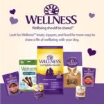 Wellness WellBars Crunchy Wheat Free Natural Dog Treats, Yogurt, Apples & Banana, 50-Ounce Box - Image 6
